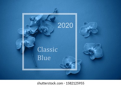 Frame Of Beautiful Orchid Flowers.  Color Of  Year 2020 Classic Blue Pantone