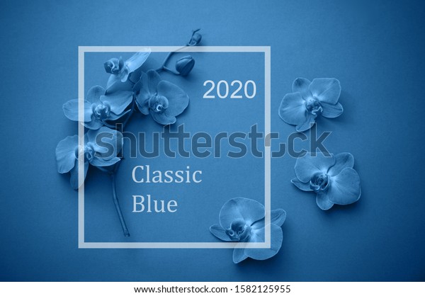 Frame Beautiful Orchid Flowers Color Year Stock Photo (Edit Now) 1582125955