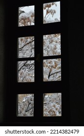 Frame From Behind The Window On A Snowy Day.