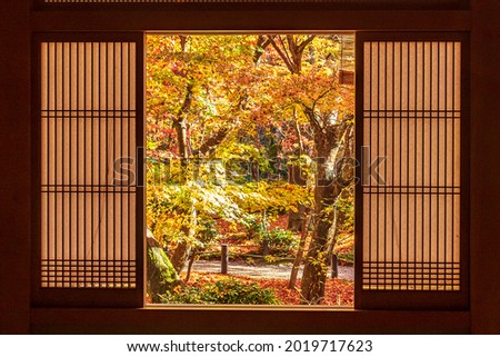 frame between wooden window and beautiful Maple tree in Japanese Temple, Kyoto, Japan. Landmark and famous in autumn season