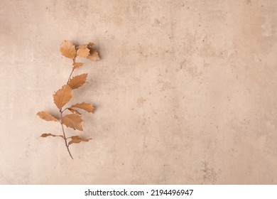 Frame border from dry fallen leaves on the modern bieg terracotta stone background. Thanksgiving autumnal background, top view, flat lay - Shutterstock ID 2194496947