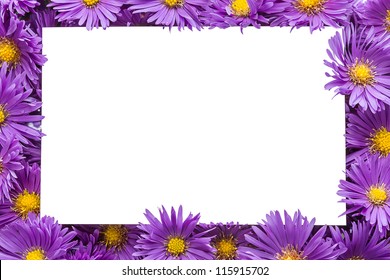 Frame / Border Of Purple Flowers With Copy Space. Isolated White Background