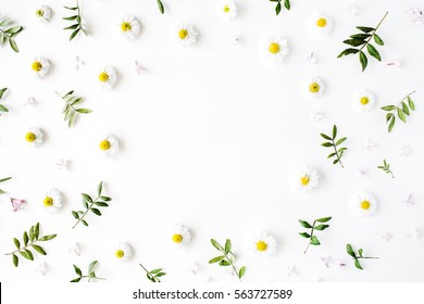 Frame of chamomiles, branches, leaves and lilac petals on white background. Flat lay, top view - Powered by Shutterstock