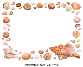 Frame Cockleshell Isolated Over White Stock Photo 73974928 | Shutterstock