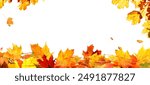 frame of colorful autumn leaves isolated on white background