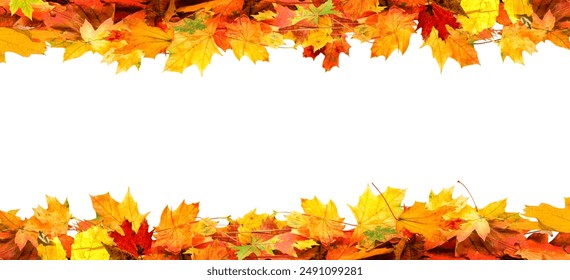 frame of colorful autumn leaves isolated on white background - Powered by Shutterstock