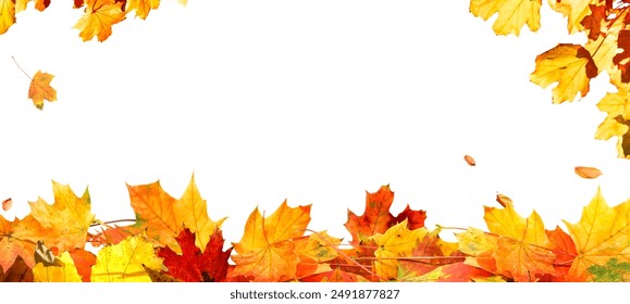 frame of colorful autumn leaves isolated on white background - Powered by Shutterstock