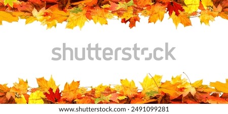 Similar – Image, Stock Photo Colorful autumn leaves in water with tree reflection