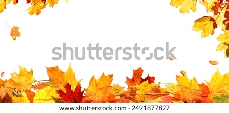 Similar – Image, Stock Photo Colorful autumn leaves in water with tree reflection