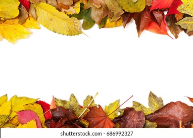 frame consists of two parallel strips of bright autumn leaves of different trees on a white background
 - Shutterstock ID 686992327