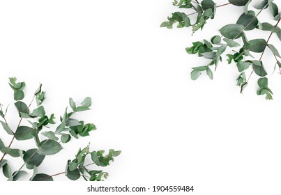 Horizontal Botanical Vector Design Banner Baby Stock Vector (Royalty ...