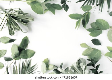 frame with flowers, branches, leaves and petals isolated on white background. flat lay, overhead view
