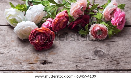 Similar – Image, Stock Photo Elegant autumn decoration with white pumpkins and light bokeh