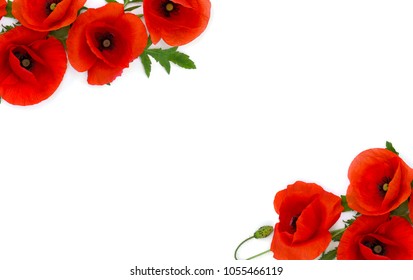 Frame Of Flowers Red Poppies (Papaver Rhoeas, Common Names: Corn Poppy, Corn Rose, Field Poppy, Red Weed) On A White Background. Top View, Flat Lay.