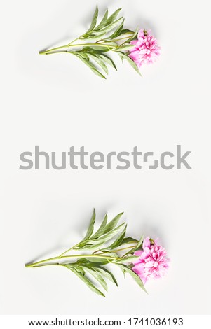 Similar – Image, Stock Photo Palm leaves and tropical flowers frame on white