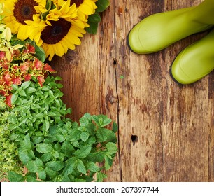 Frame Of Garden Tools And Flowers. Top View. 