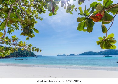 A frame of green leaves and clear blue sea. There is an unseen seascape in Ranong, South of Thailand. It has white clean beach and deep clear blue ocean. There is empty space in center.