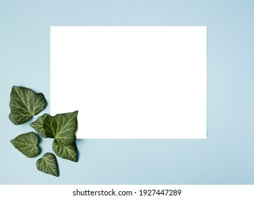 Frame And green leaves On Blue Background. Paper blank. Creative arrangement of green ivy leaves.
