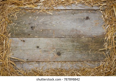 Frame Of Hay On Rustic Wooden Floor With Space For Text