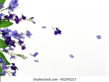 Frame Of Lavender Flowers On A White Background