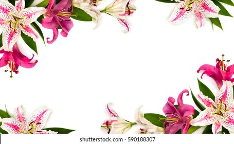 51,757 Lily frame Images, Stock Photos & Vectors | Shutterstock