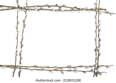 Frame Made Of Beautiful Pussy Willow Branches On White Background