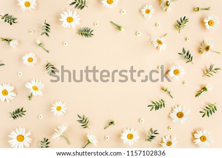 Frame made of chamomiles, petals, leaves on beige background. Flat lay, top view floral background.