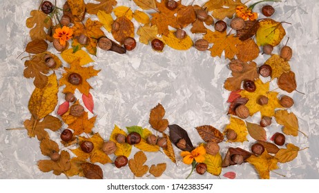 Frame made of dried orange and yellow autumn leaves, pastel colors. Autumn composition. Concepts of postcard or greeting card. Flat lay, copy space - Shutterstock ID 1742383547