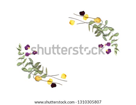Frame made of Dried roses and eucalyptus branches on white background. Flat lay, top view, copy space. Flowers composition. Floral pattern. Dried flowers background.