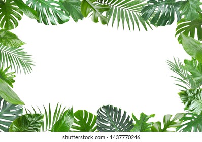 Vector Tropical Jungle Background Palm Trees Stock Vector (Royalty Free ...