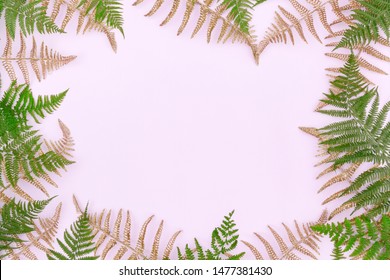 Frame made green golden fern leafs  palm frond light background  Abstract tropical leaf background  trendy creative design  Flat lay  top view  copy space