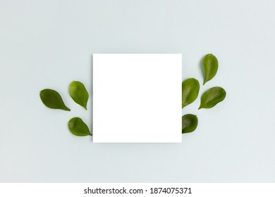 Frame Made Of Green Leaves On A Blue Pastel Background. Paper Card Mockup. Spring Concept With Copy Space. 