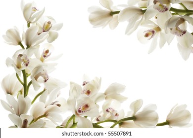 Orchid Flower Border Images, Stock Photos & Vectors | Shutterstock