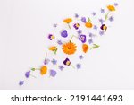 Frame from marigold, viola, borage flower on white background. Top view. Flat lay pattern, edible flower
