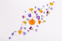 Frame From Marigold, Viola, Borage Flower On White Background. Top View. Flat Lay Pattern, Edible Flower