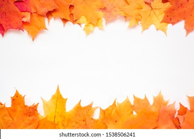 Frame of orange maple leaves on white background. Autumn, fall concept. Flat lay, top view, copy space for text. Creative poster design - Shutterstock ID 1538506241