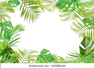 93,533 Jungle border Images, Stock Photos & Vectors | Shutterstock