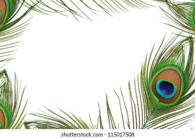 6,630 Peacock Feather Frame Images, Stock Photos & Vectors | Shutterstock