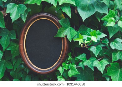 Frame For Photography On A Background Of Green Foliage. Mock Up.