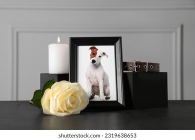Frame with picture of dog, collar, burning candle and rose on black table. Pet funeral - Shutterstock ID 2319638653