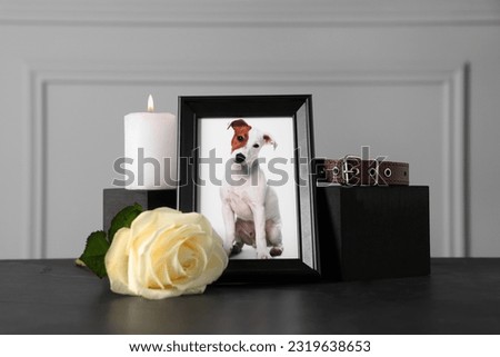 Frame with picture of dog, collar, burning candle and rose on black table. Pet funeral