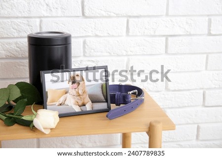 Frame with picture of dog, collar and mortuary urn on wooden shelving unit near white brick wall. Pet funeral