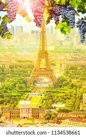 The Frame Of Red Grapes Hanging On Tour Eiffel Landscape At Sunset In Champ De Mars. Seasonal Picturesque Vertical Background Of French Wine Land Of France In Europe. Scenic Wallpaper With Eiffel Tower