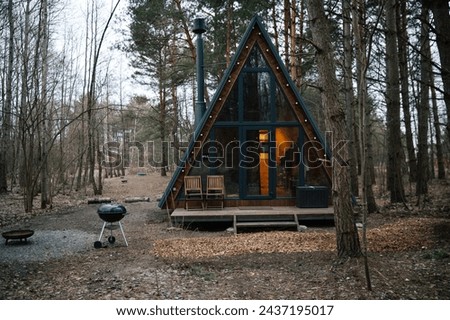 A frame scandinavian modern tiny house with BBQ zone in the woods