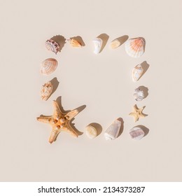 Frame with seashells and starfish with shadow on beige pastel background at sunlight. Summer vacation concept. Nautical pattern. Modern flat lay shells, sea stars, stones minimal style design Top view