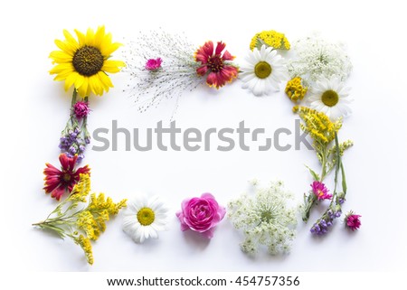 Similar – Image, Stock Photo Summer flowers frame on green
