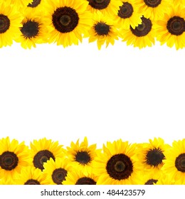 Download Sunflower Border Images, Stock Photos & Vectors | Shutterstock