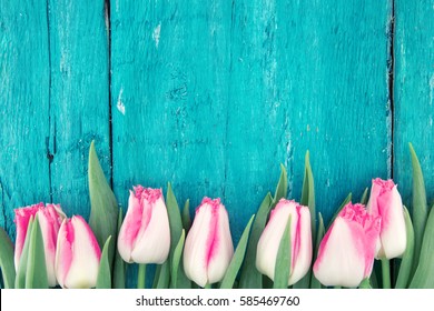 Frame Of Tulips On Turquoise Rustic Wooden Background. Spring Flowers. Spring Background. Greeting Card For Valentine's Day, Woman's Day And Mother's Day. Top View.