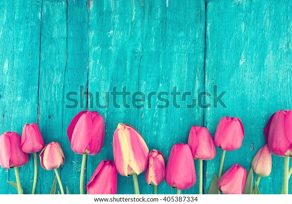 Frame of tulips on turquoise rustic wooden\
background. Spring flowers. Spring background. Valentine\'s Day and\
Mother\'s Day background. Top\
view.