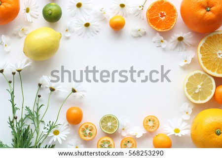Frame of various citrus fruits and marguerite flower on white background,top view 